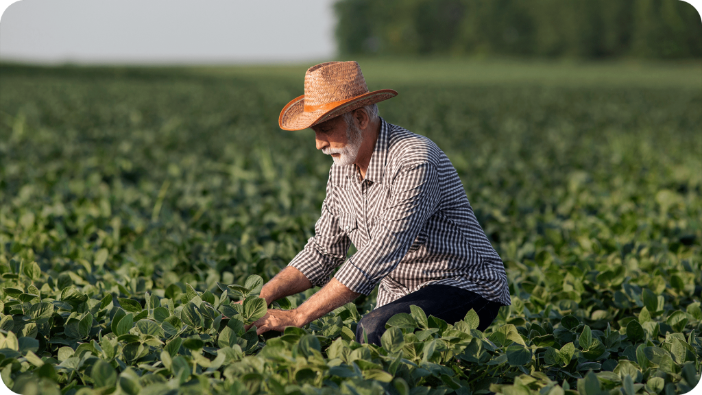 seguro rural para agronegócio